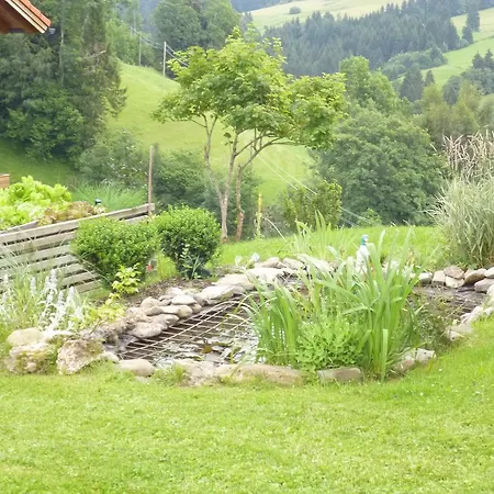 Appartement Schugg *