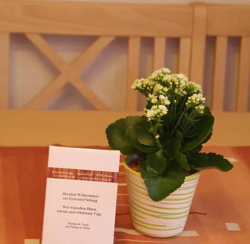 Apartmán Schugg